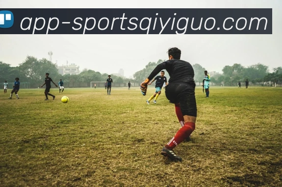 奇异果体育平台生态图